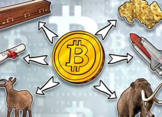 100 Websites Who Accept Bitcoin Payment Websites Who Accept Bitcoin Payment